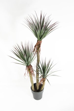 Юкка Рострата БЕЗ КАШПО