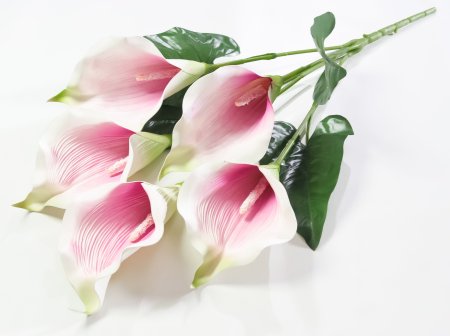 Букет калла 5 цветков