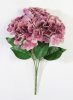 Букет гортензий 5 веток Жимолость