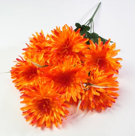 Астра "Бельгийская" 7 цветков