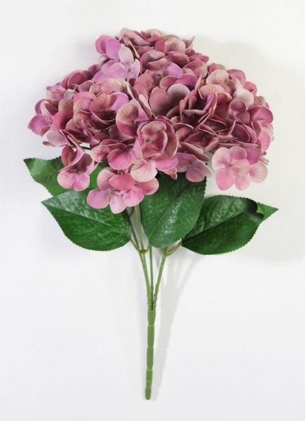 Букет гортензий 5 веток "Жимолость"