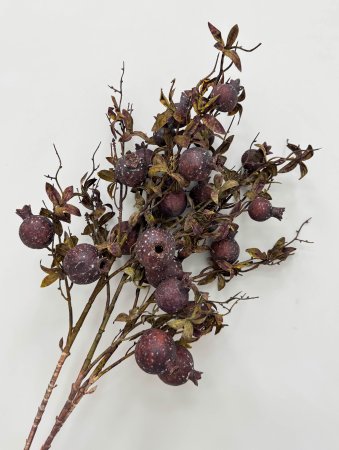 Гранат "Поздняя осень"