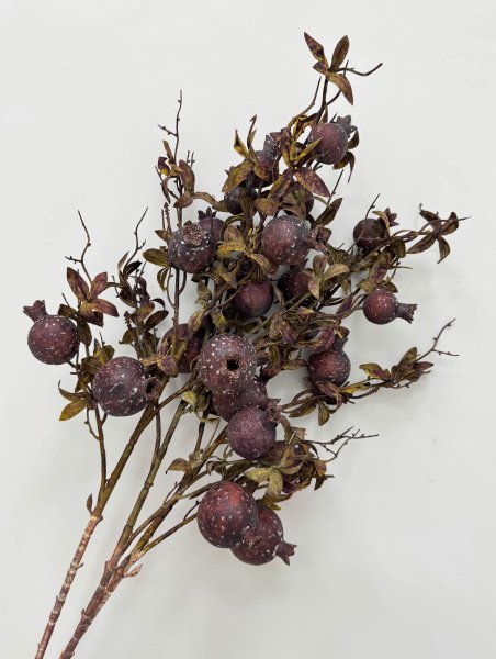 Гранат "Поздняя осень"