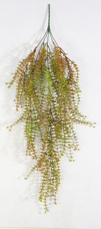 картинка Ампельная зелень "Эстрагон" 3 от магазина KALINA