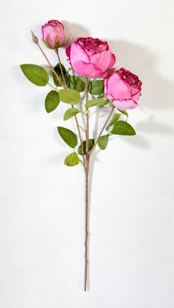 Ветка пионовидной розы Рояль розовая