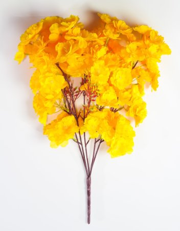 Ветка яблони 5 веток