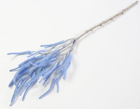 Ветка амаранта