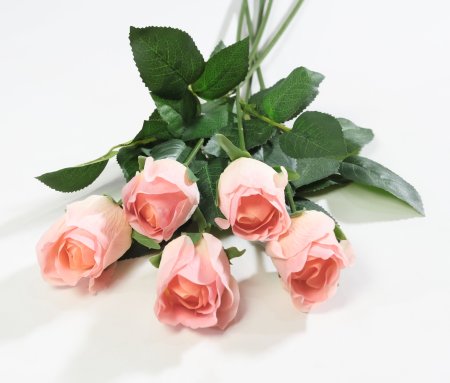 Роза с латексным покрытием малая коралл