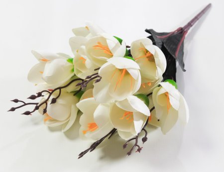 Крокус "Звездный вальс" 15 цветков