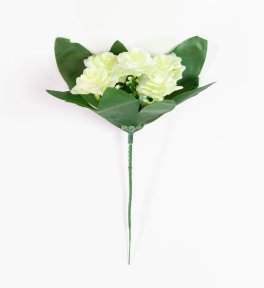 Роза садилка 5 цв.