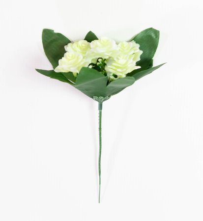 Роза садилка 5 цв.