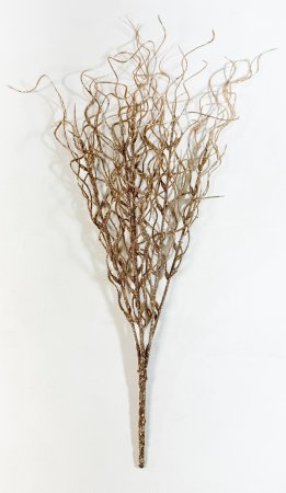 Букет аспарагуса бронза