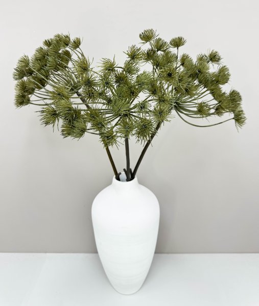 картинка Борщевик светло- болотный от магазина KALINA