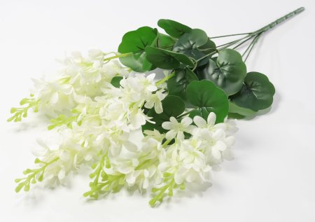 Дельфиниум