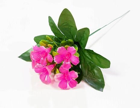 Лилия садилка 5 цветков. от магазина KALINA являющийся официальным дистрибьютором в России 