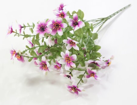 Мелкоцвет 7 веток