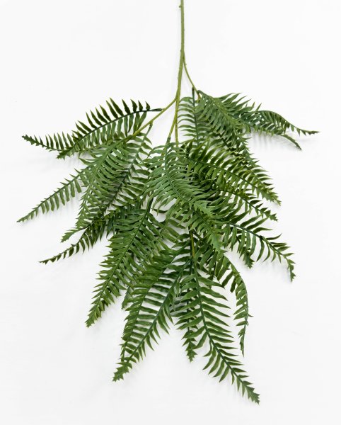 картинка Папоротник "Бостонский"  на высокой ноге от магазина KALINA