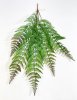 картинка Ветка папоротника от магазина KALINA