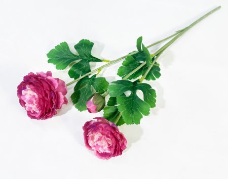 Пион "Махровый" 2 цветка 1 бутон бордо