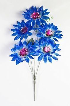 Астра "Дарина" 5 цветков от магазина KALINA являющийся официальным дистрибьютором в России 