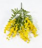 Букет мимозы 5 веток