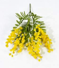 Букет мимозы 5 веток
