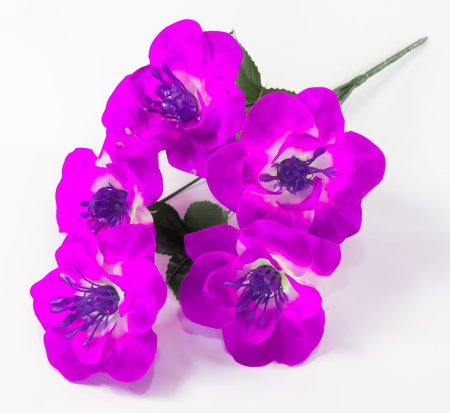 Нарцисс "Джувел" 5 цветков