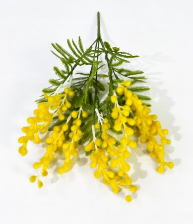 Букет мимозы 5 веток