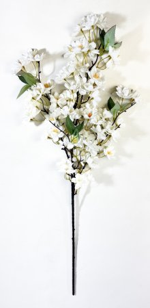 Ветка яблони "Малинка" белая