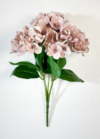 Букет гортензий 5 веток чайная