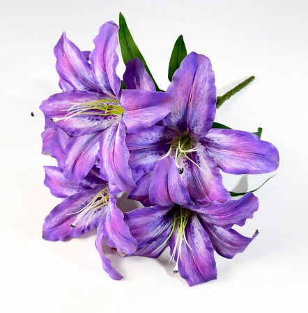 Букет лилий "Бодор" 5 цветков