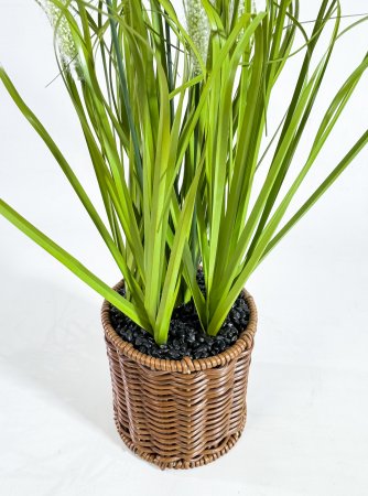 Пеннисетум (Лисий хвост) 54 см