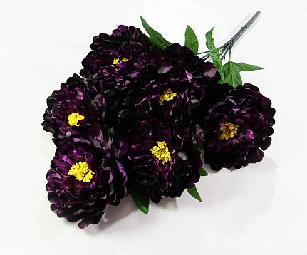 Пион "Звездопад" 6 цветков от магазина KALINA являющийся официальным дистрибьютором в России 
