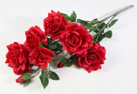 Ветка розы "Весна"