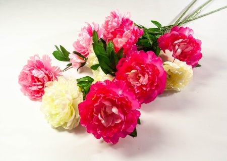 Ветка пиона 4 цветка 1 бутон