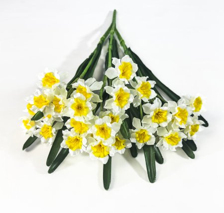 Нарцисс 28 цветков