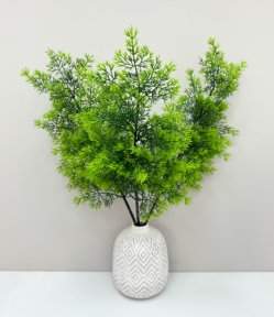 Туя "Летняя пора" 2