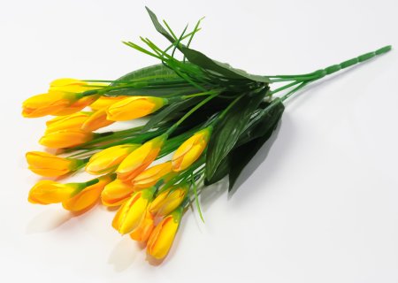 Крокус 21 цветок