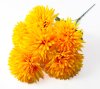 Хризантема "Талисман гигант" 6 цветков
