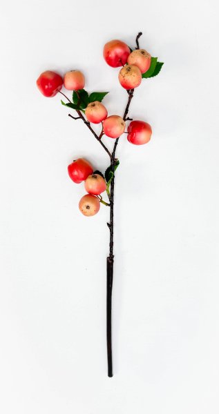 Ветка ранетки 11 плодов розовая