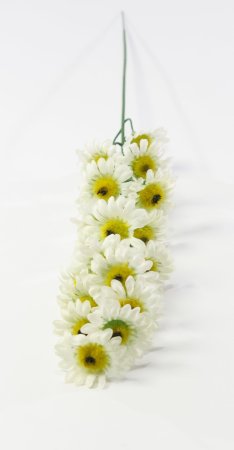 Ветка ромашек "Суприм"