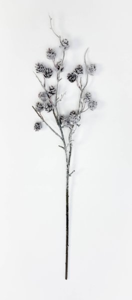 Ветка с еловыми шишками