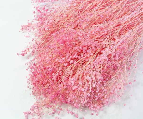 Гипсофила стабиллизированная