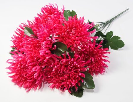 Астра "Кардинал" 7 цветков