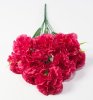 Букет гвоздик "Вишенка" 9 цветков