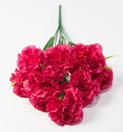 Букет гвоздик "Вишенка" 9 цветков