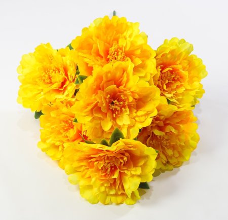 Пион "Гарант" 7 цветков