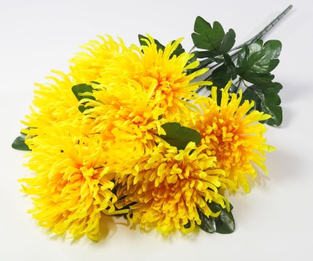 Астра "Кардинал" 7 цветков