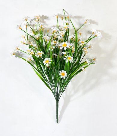 Ромашка Опера 91 цветок