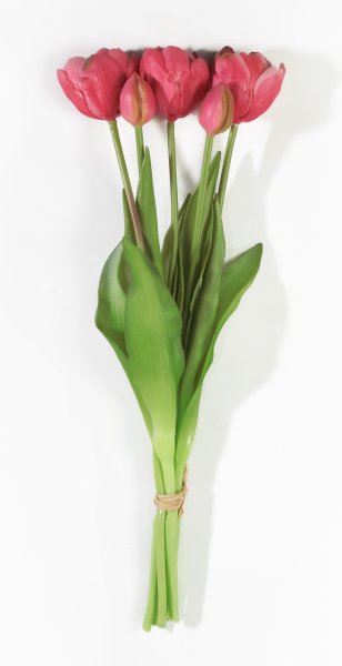 Букет открытых тюльпанов 3+2 красный